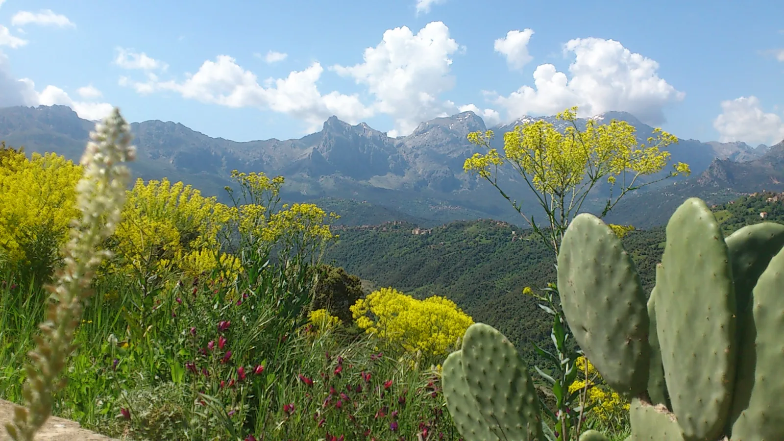 Massif du Djurdjura en Algérie